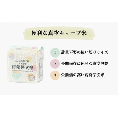 あきたこまち 籾発芽玄米 真空キューブ米 300g×10個 合計3kg [No.5325-0258]