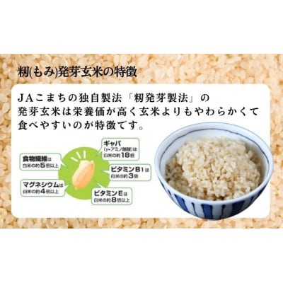 あきたこまち 籾発芽玄米 真空キューブ米 300g×10個 合計3kg [No.5325-0258]