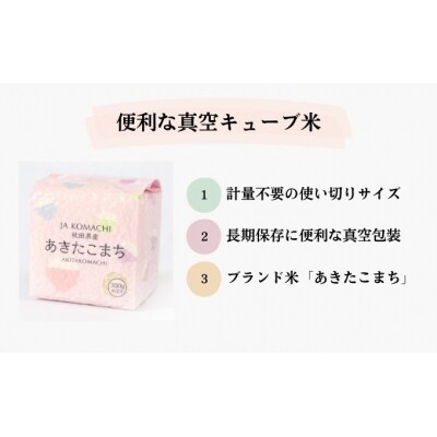 あきたこまち 真空キューブ米 300g×10個 合計3kg [No.5325-0259]