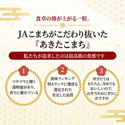 無洗米 あきたこまち 10kg (5kg×2袋) 令和8年産 [No.5325-0260]