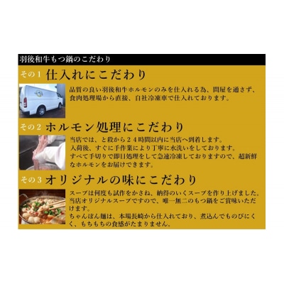 羽後和牛もつ鍋セット2～3人前 しょうゆ味 [No.5325-0282]