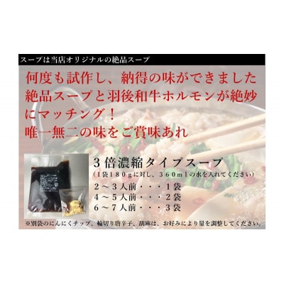羽後和牛もつ鍋セット2～3人前 しょうゆ味 [No.5325-0282]