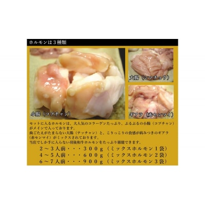 羽後和牛もつ鍋セット2～3人前 しょうゆ味 [No.5325-0282]