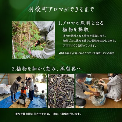 杉宮精香堂 黒文字(クロモジ)ミスト 15ml [No.5325-0274]