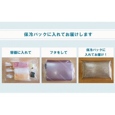 溶けない!?葛アイス「シャリぷる」ミニアソート10個入[No.5325-0289]