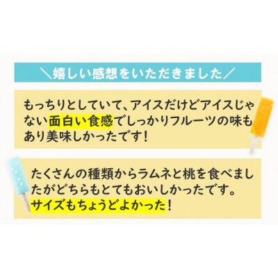 溶けない!?葛アイス「シャリぷる」ミニアソート10個入[No.5325-0289]