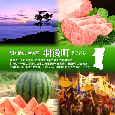 【返礼品なし】秋田県羽後町へのご寄附(一口:2,000円)[No.5325-0306]