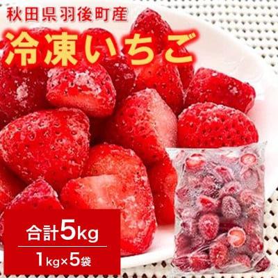 秋田県羽後町産 冷凍いちご 5kg(1kg×5)[No.5325-0220]