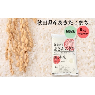 無洗米 秋田県産 あきたこまち 5kg(5kg×1袋) 令和7年産[No.5325-0338]