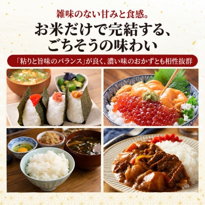 無洗米 あきたこまち 3kg(1kg×3袋)真空パック 令和8年産[No.5325-0339]