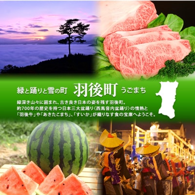 定期便3ヵ月 りんごジュース「sonomama」(160g×20本)3箱[No.5325-0352]