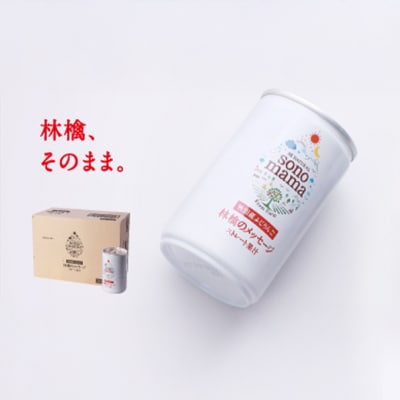 定期便6ヵ月 りんごジュース「sonomama」(160g×20本)3箱[No.5325-0353]