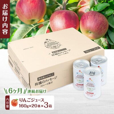 定期便6ヵ月 りんごジュース「sonomama」(160g×20本)3箱[No.5325-0353]