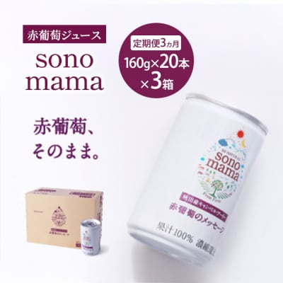 定期便3ヵ月 赤葡萄ジュース「sonomama」(160g×20本)3箱[No.5325-0354]