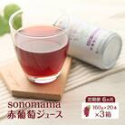 定期便6ヵ月 赤葡萄ジュース「sonomama」(160g×20本)3箱[No.5325-0355]