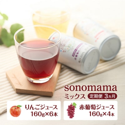 《定期便3ヵ月》ミックス「sonomama」(160g×10本)[No.5325-0356]