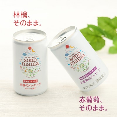 《定期便3ヵ月》ミックス「sonomama」(160g×10本)[No.5325-0356]