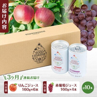 《定期便3ヵ月》ミックス「sonomama」(160g×10本)[No.5325-0356]