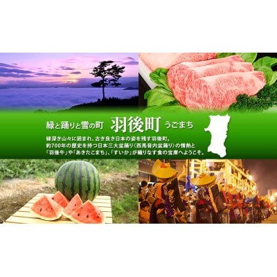 木製 エンジュの温もりコースター 3枚[No.5325-0392]