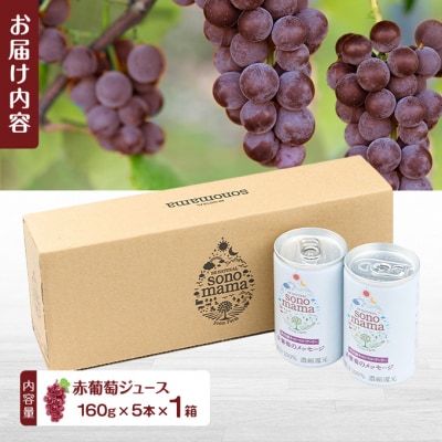 赤葡萄ジュース「sonomama」(160g×5本)×1箱[No.5325-0410]