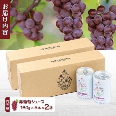 赤葡萄ジュース「sonomama」(160g×5本)×2箱[No.5325-0411]