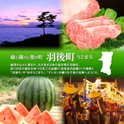 秋田県産 昔ながらの手作りお味噌(ねり味噌 800g×4個)[No.5325-0431]