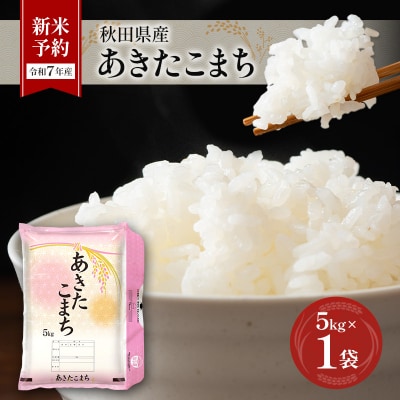 新米予約【令和7年産】秋田県産あきたこまち 5kg×1袋[No.5325-0378]