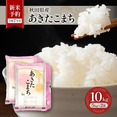【令和7年産】秋田県産あきたこまち 10kg(5kg×2袋)[No.5325-0379]