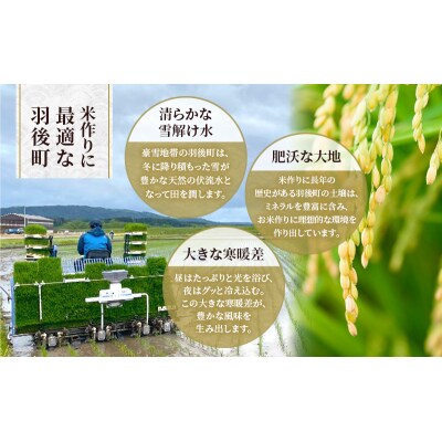 【令和7年産】秋田県産あきたこまち 10kg(5kg×2袋)[No.5325-0379]