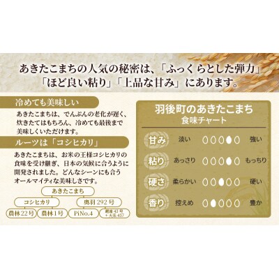 【令和7年産】秋田県産あきたこまち 20kg(5kg×4袋)[No.5325-0381]
