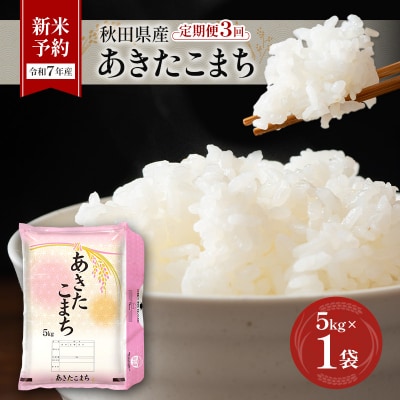 新米予約【令和7年産】定期便 秋田県産あきたこまち 5kg×1袋 全3回[No.5325-0382]
