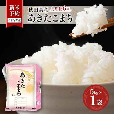 【令和7年産】定期便 秋田県産あきたこまち 5kg×1袋 全6回[No.5325-0383]