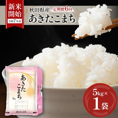 【令和7年産】定期便 秋田県産あきたこまち 5kg×1袋 全6回[No.5325-0383]