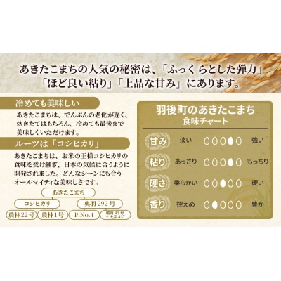 新米予約【令和7年産】3回定期便 あきたこまち 10kg(5kg×2)[No.5325-0384]