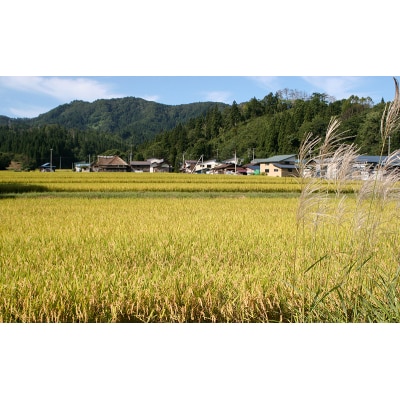 【令和6年産】羽後町産あきたこまち無洗米2合(300g)×3袋[No.5325-0461]