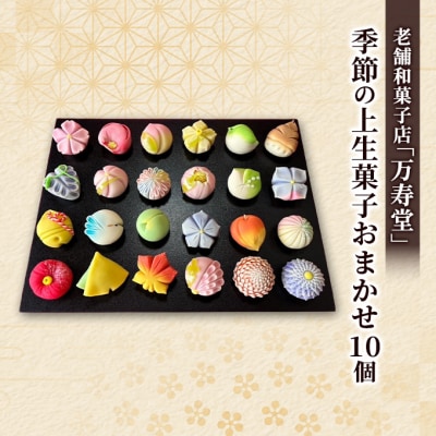 季節の上生菓子おまかせ10種(計10個)[No.5325-0435]