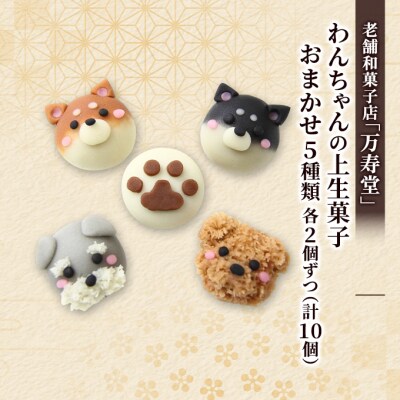 わんちゃんの上生菓子おまかせ5種 各2個ずつ(計10個)[No.5325-0437]