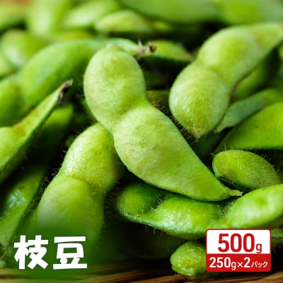 【先行受付】秋田県 羽後町産 枝豆 500g(250g×2)[No.5325-0362] | ふるさと納税のお礼品