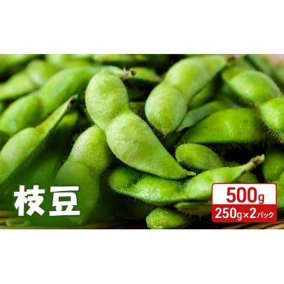 【先行受付】秋田県 羽後町産 枝豆 500g(250g×2)[No.5325-0362]