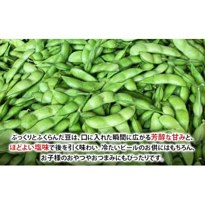 【先行受付】秋田県 羽後町産 枝豆 500g(250g×2)[No.5325-0362]