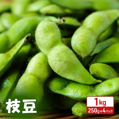 ystzHc H㒬Y } 1kg(250g×4)[No.5325-0363]