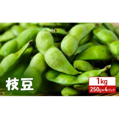 【先行受付】秋田県 羽後町産 枝豆 1kg(250g×4)[No.5325-0363]