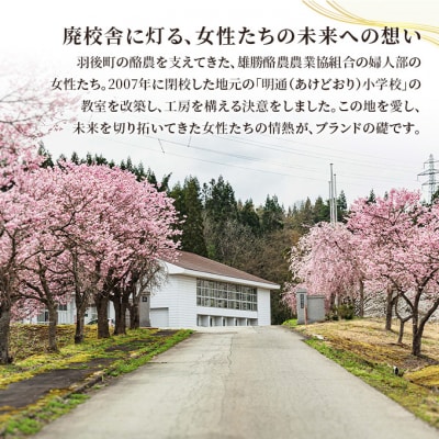 チーズ 「アヴァレッド40g」4個[No.5325-0539]