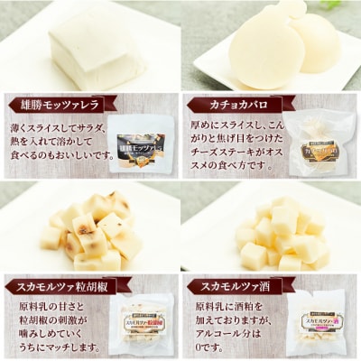 チーズアソート お試し7種セット[No.5325-0542]