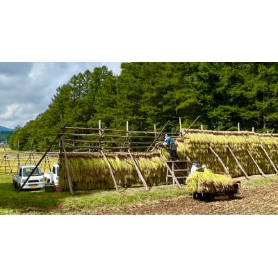 天の戸 一燈・オーガニック2025edition 生酒 720ml×1本[No.5325-0513]