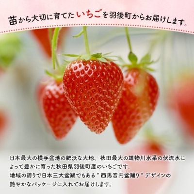 訳あり いちご 品種指定不可 300g×2パック[No.5325-0511]