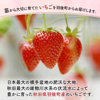 訳ありいちご 品種指定不可200g×2パック 端縫いシルクインナー入り[No.5325-0512]