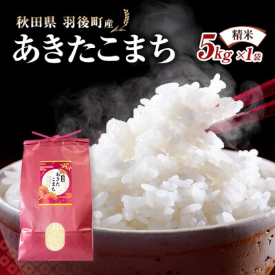 秋田県羽後町産あきたこまち 精米 5kg×1袋[No.5325-0581]