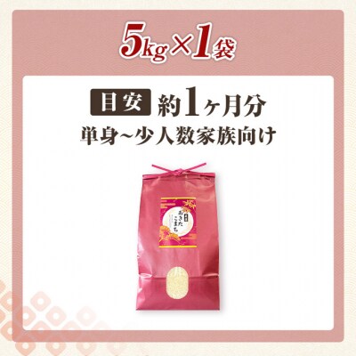 秋田県羽後町産あきたこまち 精米 5kg×1袋[No.5325-0581]