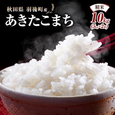秋田県羽後町産あきたこまち 精米 10kg(5kg×2袋)[No.5325-0583]